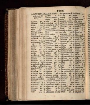 Index Commentariorvm