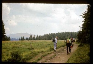 Wanderung im Schwarzwald