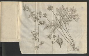 Fig. 32 - Fig. 33.