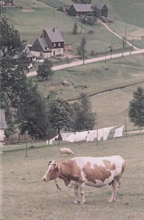 Blick auf eine Ortschaft im Erzgebirge