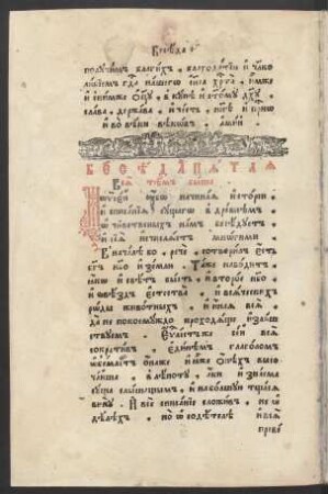 Beseda 5