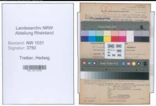 Entnazifizierung Hedwig Treiber , geb. 24.06.1894 (Steuersekretaer)