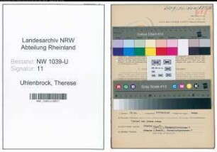 Entnazifizierung Therese Uhlenbrock , geb. 24.11.1906 (Bueroangestellte)
