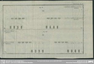 Tab. IX, Fig. 99 - 100