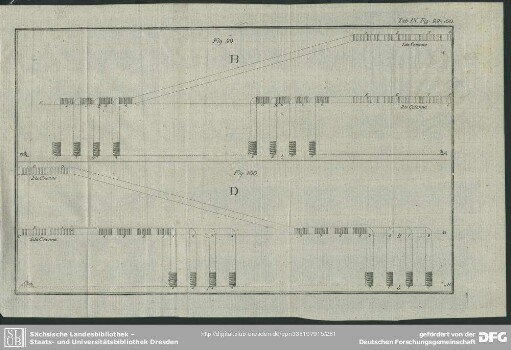 Tab. IX, Fig. 99 - 100