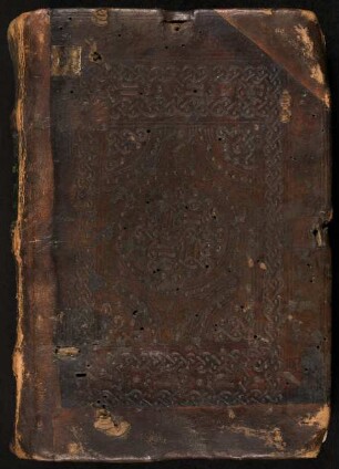 P. Ovidius Naso: Poemata varia - Pseudo-Ovidiana : Ms. Diez. B Sant. 8