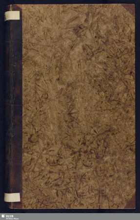 Euklid-Interpretationen des Abraham Ries - Mscr.Dresd.Db.72 : [Sammelhandschrift]