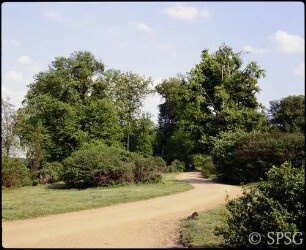Potsdam, Park Babelsberg, Wegepartie.