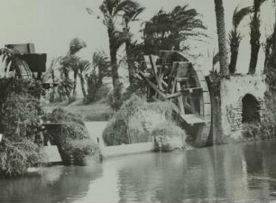 Ägypten, Oase Fajum, Wasserräder