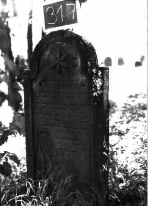 Grabstein 317 (Index: 100103110) Material: Sandstein Zustand: teilweise verwittert, abgeblättert Maße HxBxT: 127x58x8 cm Beschreibung: Stele, eingezogener Rundbogenabschluss, Schriftfeld eingetieft mit Konvexbogenabschluss, im Bogen Blüte Symbolik: Blüte: Grabstein 317