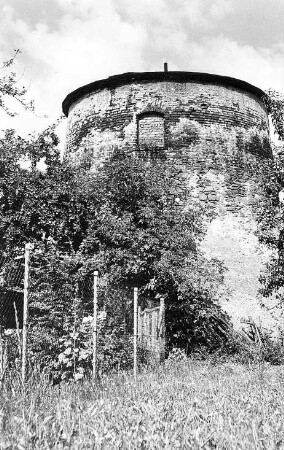 Mutzschen. Holländermühle, Ruine