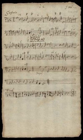 Bassus continuus (2)