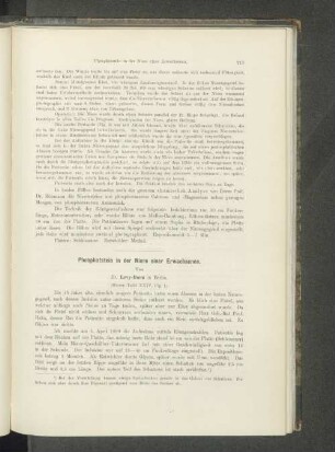 Phosphatstein in der Niere einer Erwachsenen.