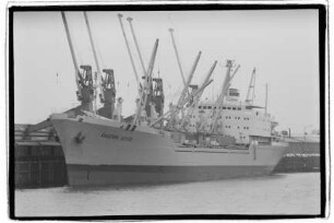 Akademik Shukov (1969), Baltic Shipping w