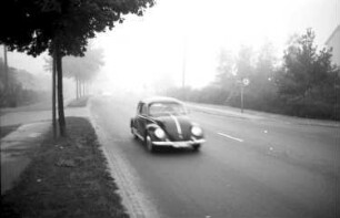 Autofahren im Nebel