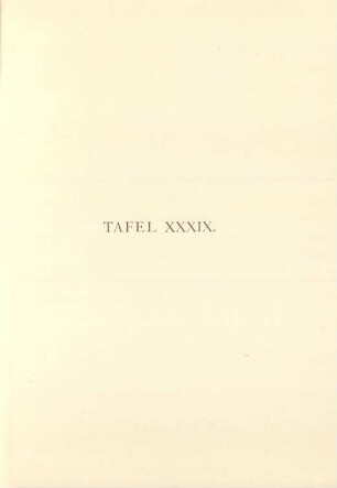 Tafel XXXIX.