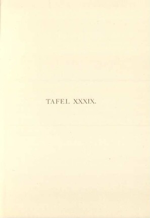 Tafel XXXIX.