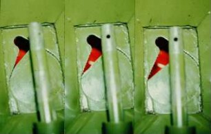 Fotografie: Düngerstreuer, Schleuderstreuer, Reihendüngung