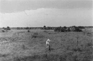 Pampa : Frau in einer ebenen Graslandschaft