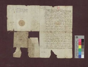 Neuordnung der Weidgerechtigkeiten zu Buchholz an den Gemarkungsgrenzen gegen Denzlingen.