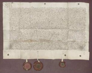Pfalzgraf Otto von Mosbach stiftet eine ewige Pfründe und Messe in der Burg zu Mosbach.