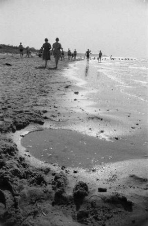 Ostseeküste. Am Strand