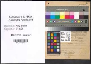 Entnazifizierung Walter Reichow , geb. 14.08.1905 (Arbeiter)