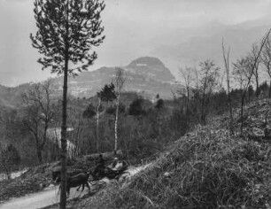 In den Bergen : Blick Talwärts. Im Vordergrund eine Personenkutsche