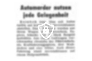 Automarder nutzen jede Gelegenheit