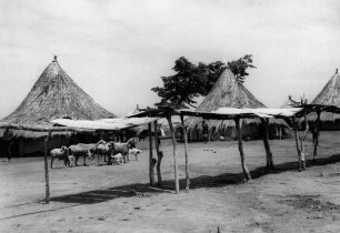 Environs de Carnot. Séchage du manioc