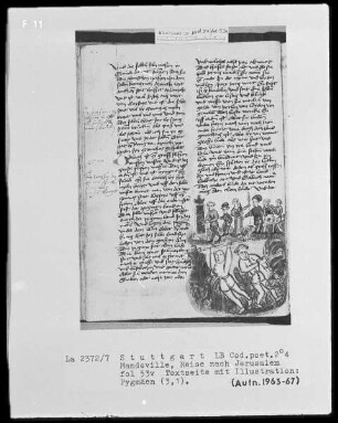 Jean de Mandeville, Reise nach Jerusalem — Pygmäen, Folio 53verso