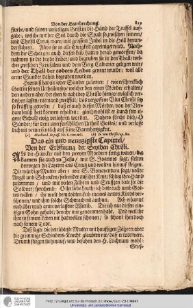 Das ein und neunzigste Capittel