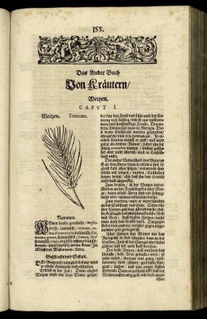 Das Ander Buch Von Kräutern, Weitzen.