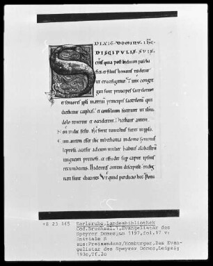 Evangelistar des Speyrer Domes — Initiale S, Folio 17verso