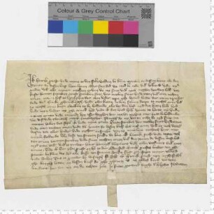 Heinrich Provest verkauft Hermann Spörcken, Sohn des Ernst Spörcken, seinen Hof zu Langelgen (Langlingen).