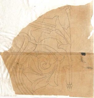 Reiffenstuel, Michael; Ornamentzeichnungen - Rankenwerk (Detail)
