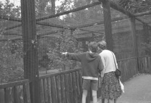 Tiergehege im Fasanengarten