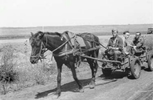 Zweiter Weltkrieg. Frontbilder. Sowjetunion. Angehörige der deutschen Wehrmacht mit Pferdefuhrwerken in einem Konvoi