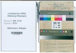 Entnazifizierung Wilhelm Wehrmann , geb. 12.05.1906 (Finanzbeamter)