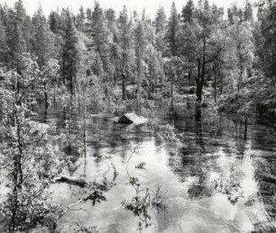 Landschaft in Lappland