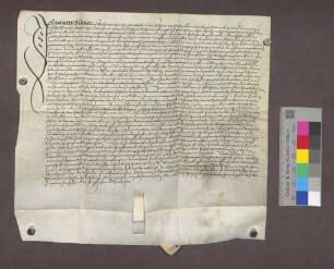 Schuldverschreibung des Klaus Reck zu Freiburg gegenüber dem Basler Domkaplan Balthasar Endinger.