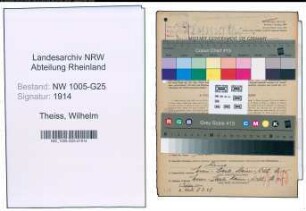 Entnazifizierung Wilhelm Theiss , geb. 19.03.1906 (Kaufmann)