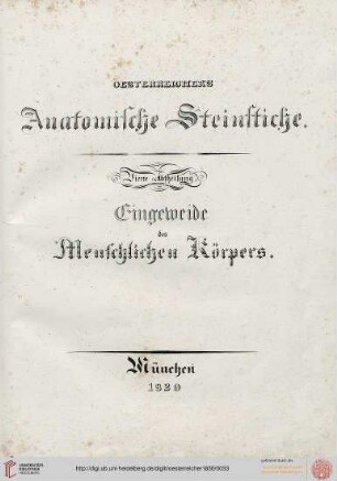 IV. Abtheiluung: Eingeweide des Menschlichen Körpers