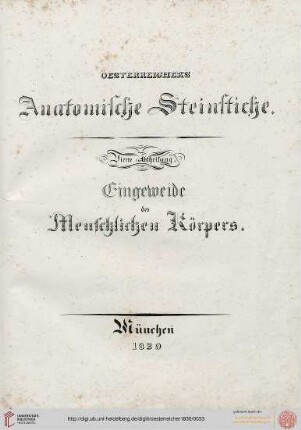 IV. Abtheiluung: Eingeweide des Menschlichen Körpers