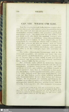 Cap. XIII. Wichte und Elbe