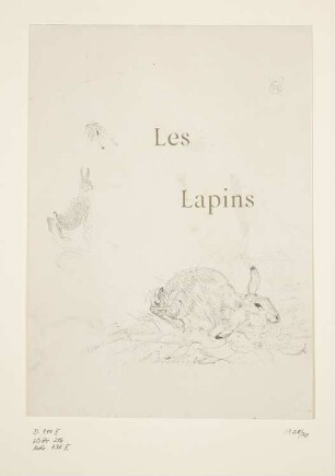 Les Lapins, Blatt 14 der Folge "Histoires Naturelles"