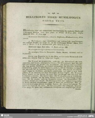 Helleborus Niger Humilifolius. Tabula XXVII.