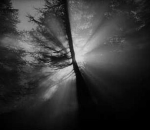 Der Rebell. Die Feuer rufen (1932) - Filmanfang