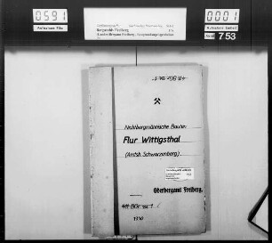 Wittigsthal bei Johanngeorgenstadt, Bd.1