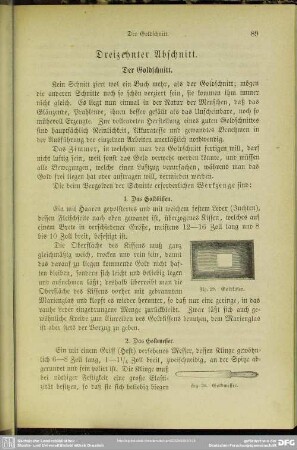 Dreizehnter Abschnitt. Der Goldschnitt